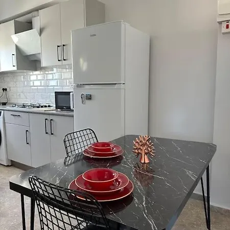 New Renovated 1 Bedroom Flat North 5a Lefkoşa