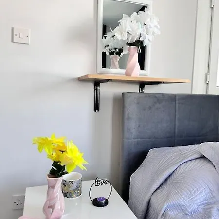 New Renovated 1 Bedroom Flat North 5a Daire *